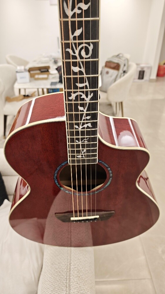 Acoustic Guitar - Rosewood - 4