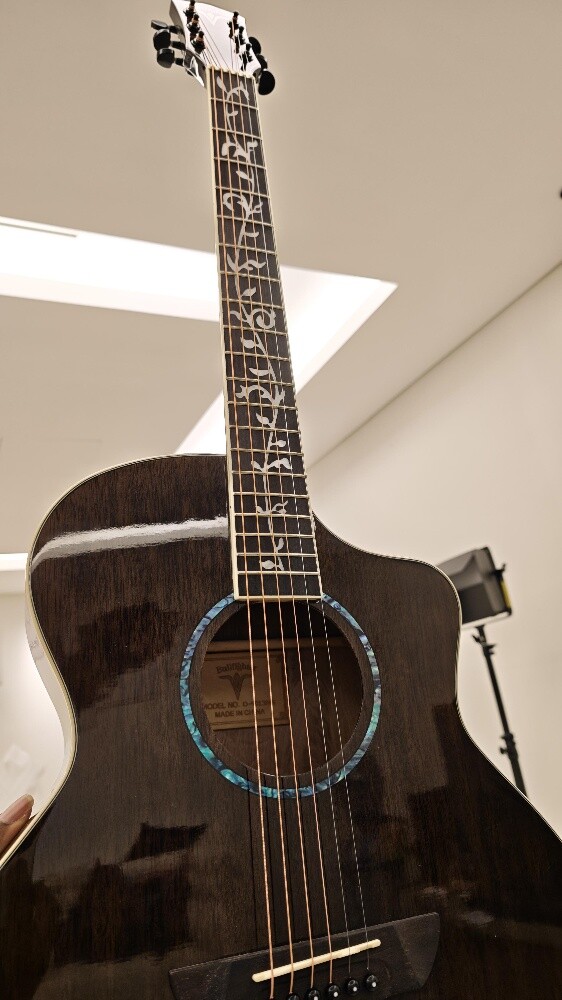 Acoustic Guitar - Rosewood - 7