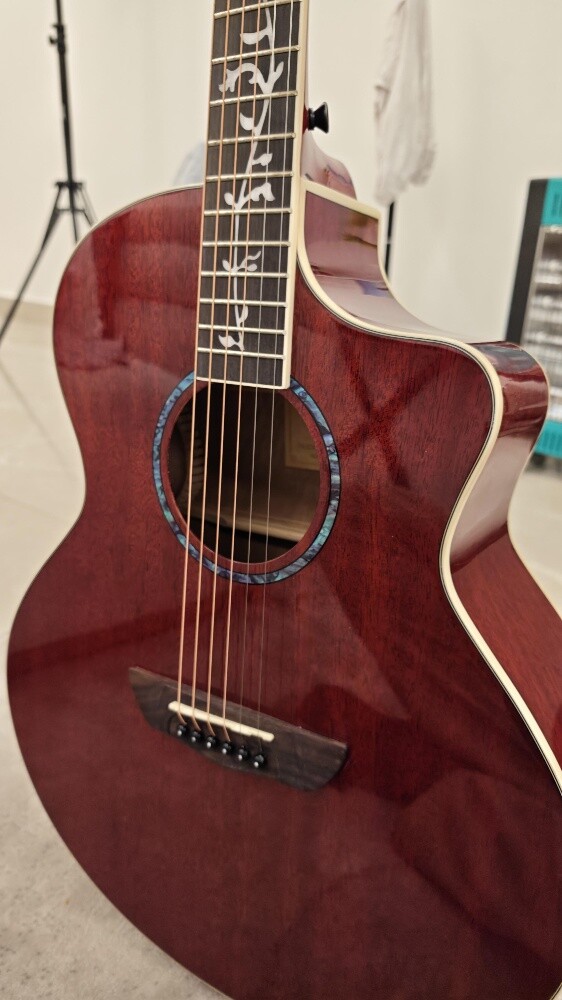 Acoustic Guitar - Rosewood - 3