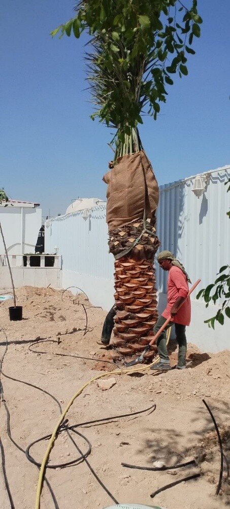 الاندسكيب - 6
