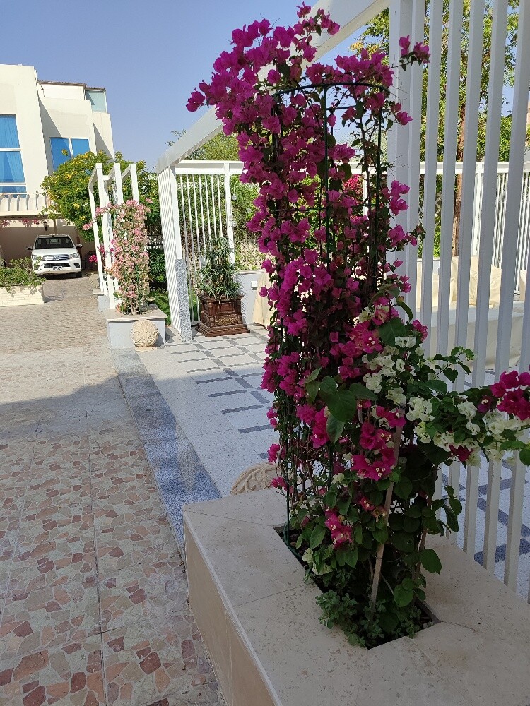 الاندسكيب - 2