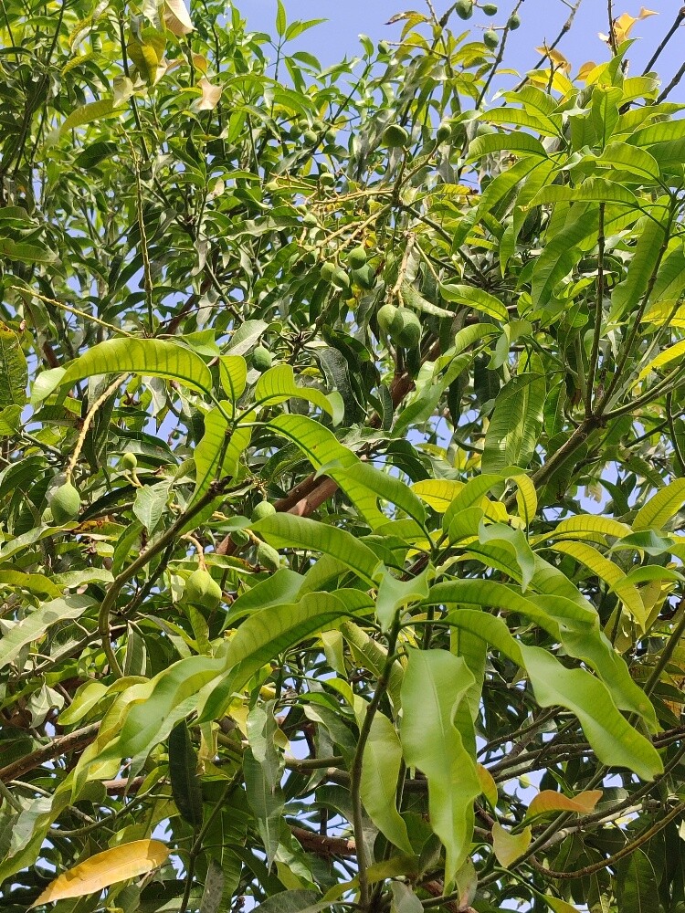 الاندسكيب - 3