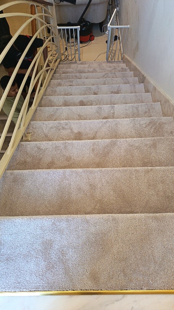 modern carpet - 11