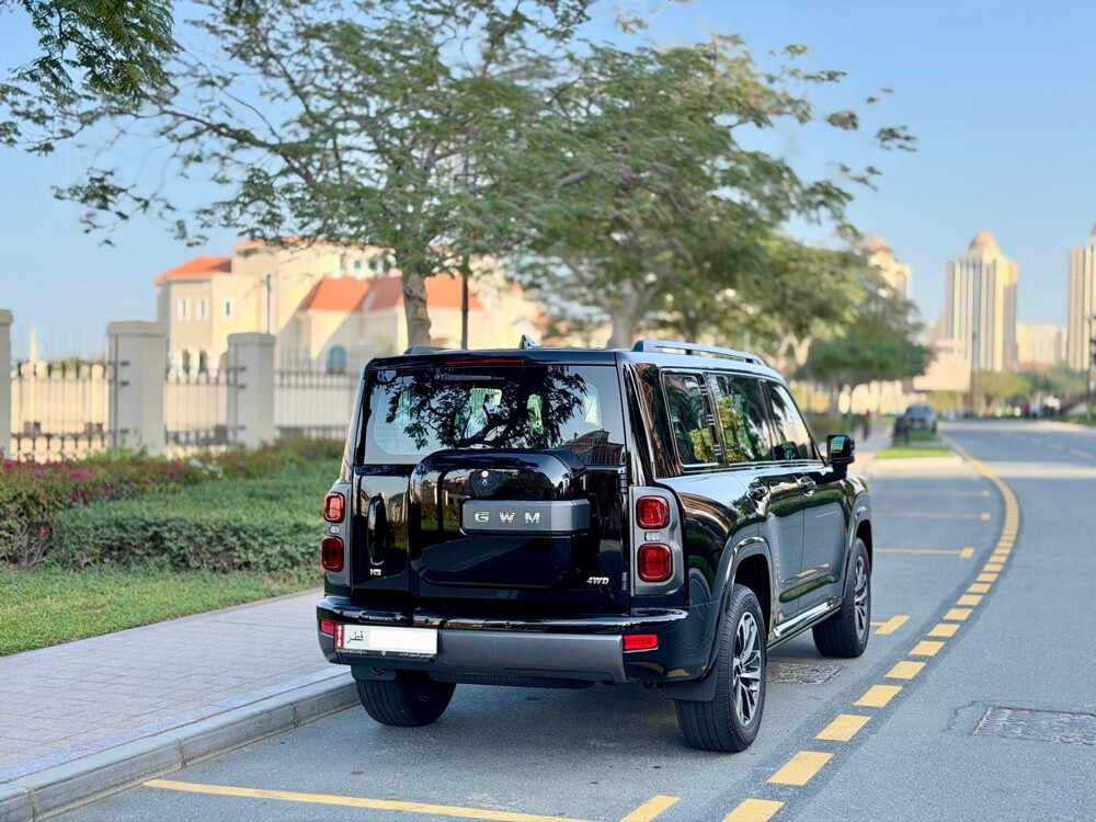 HAVAL H9 - 13