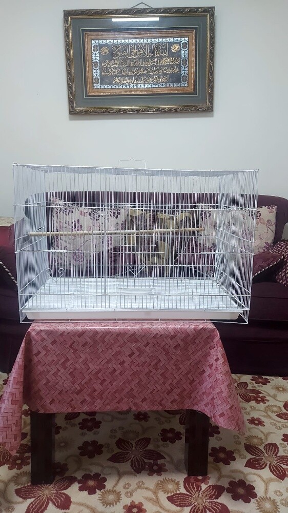 big cage - 3