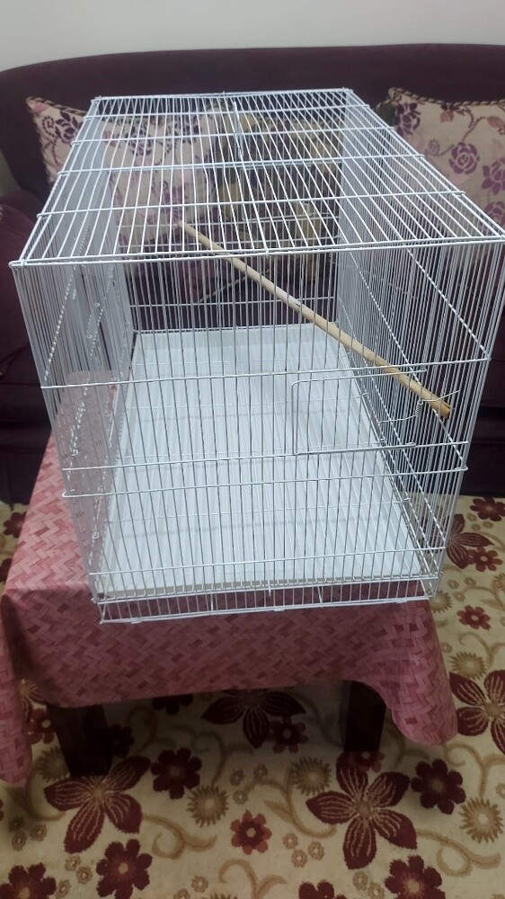 big cage - 2