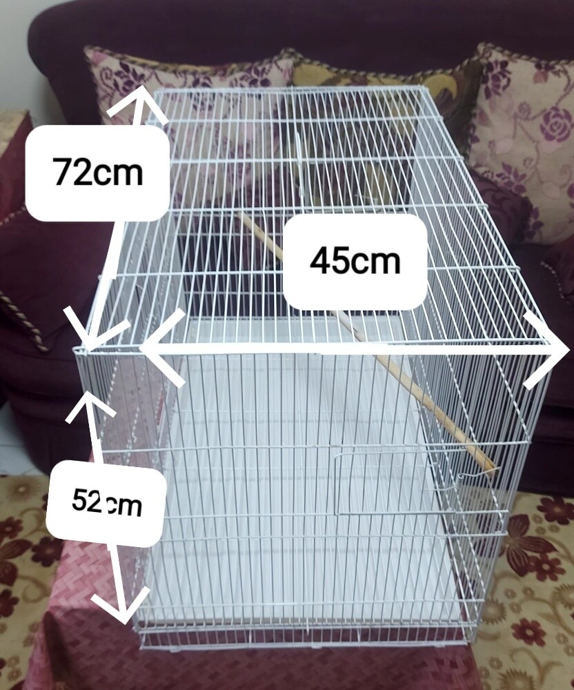 big cage - 1