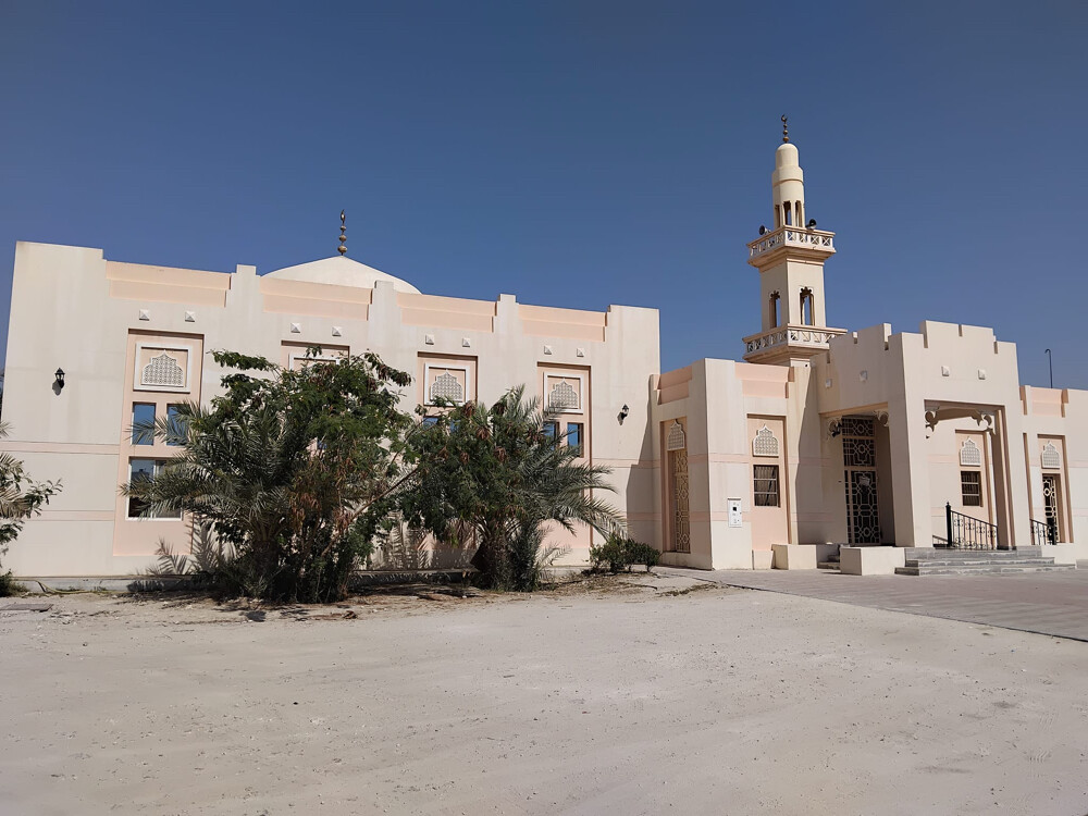 للبيع فلتين متلاصقات  - 2
