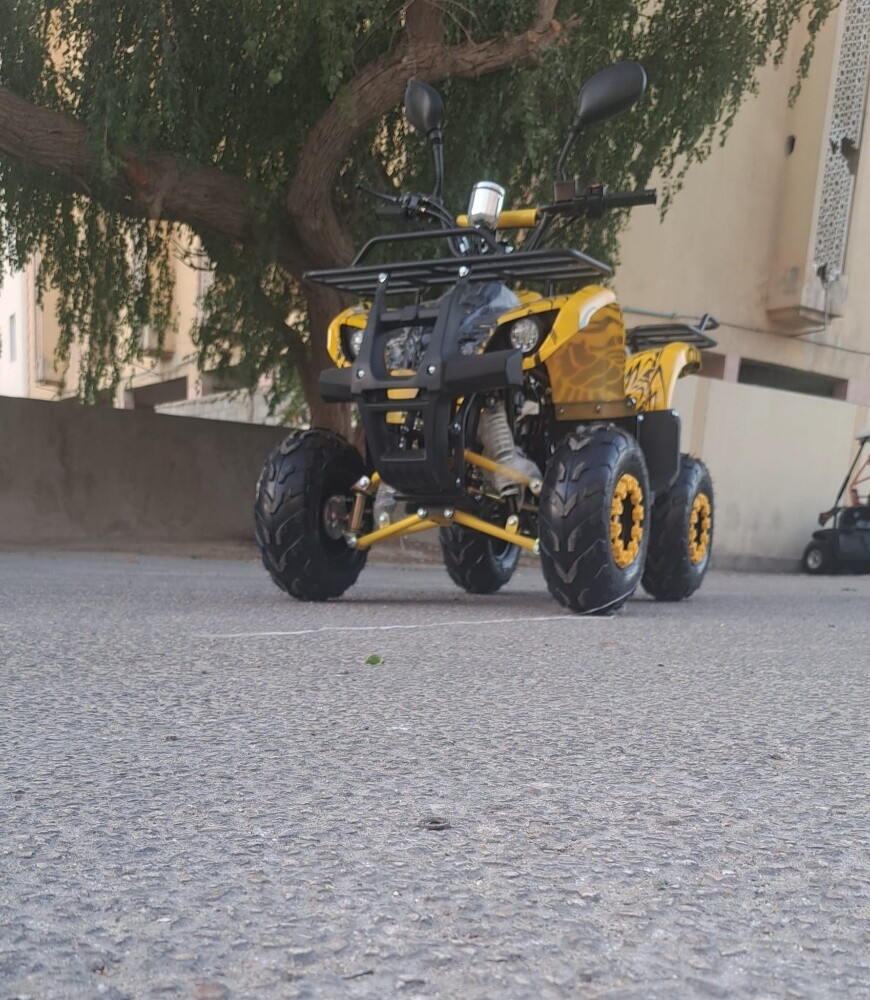 بطبطة - 5