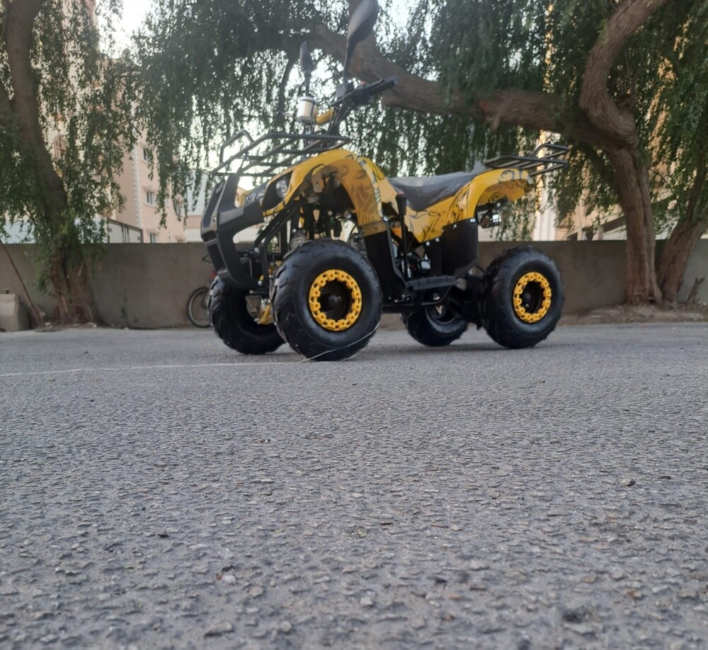 بطبطة - 2