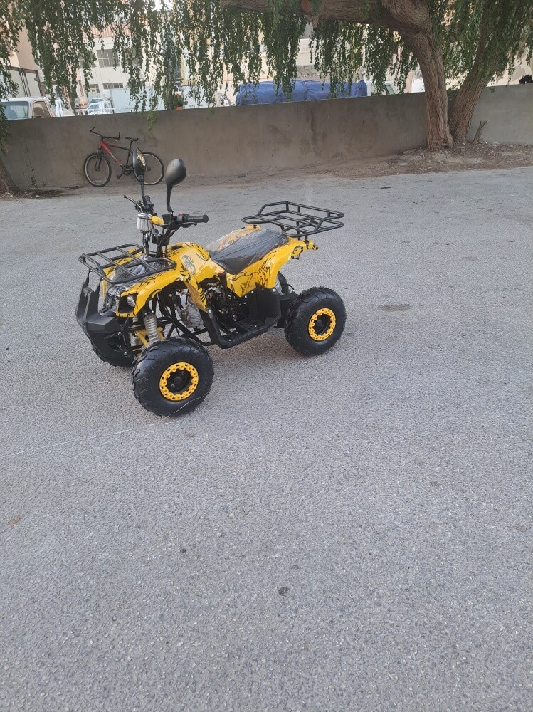 بطبطة - 4
