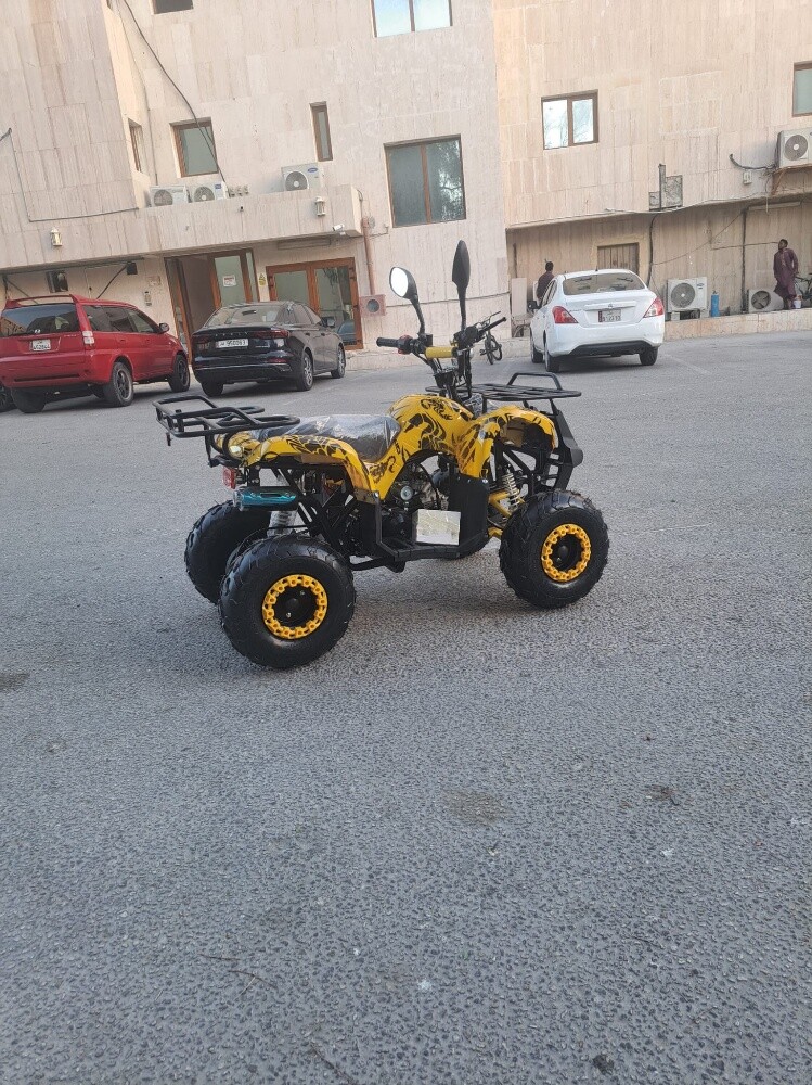 بطبطة - 3