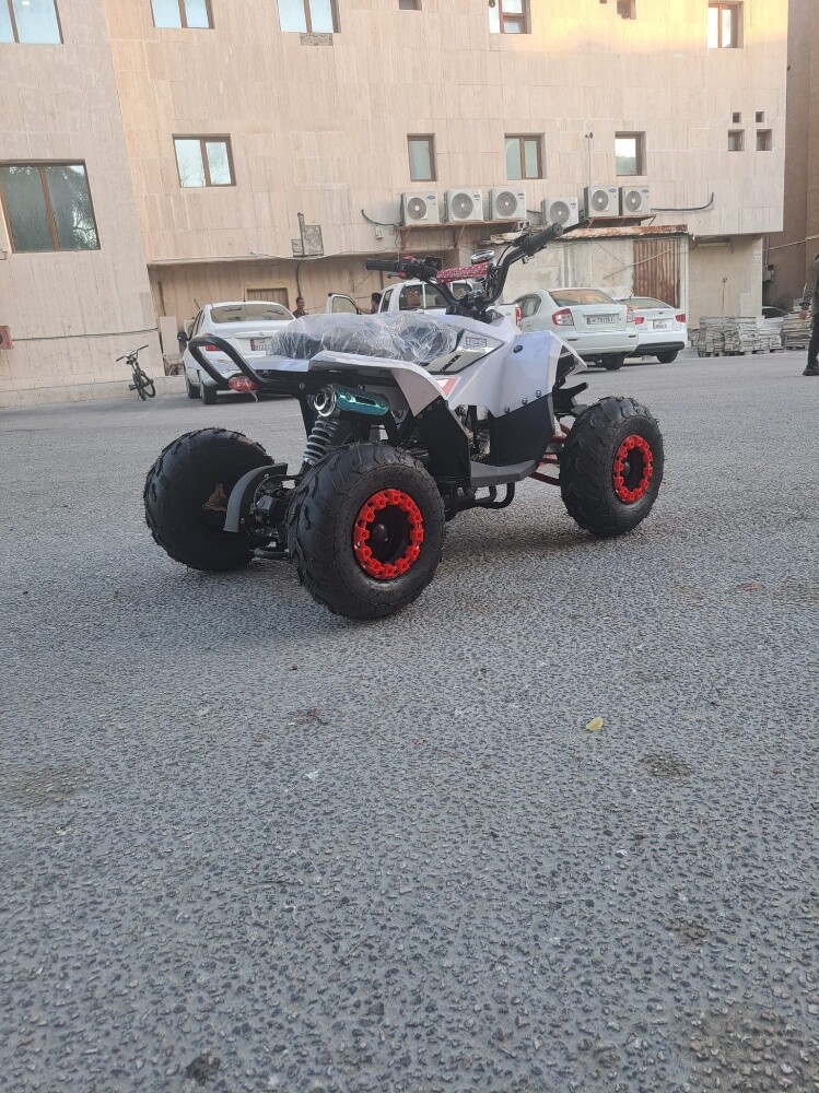 بطبطة - 5