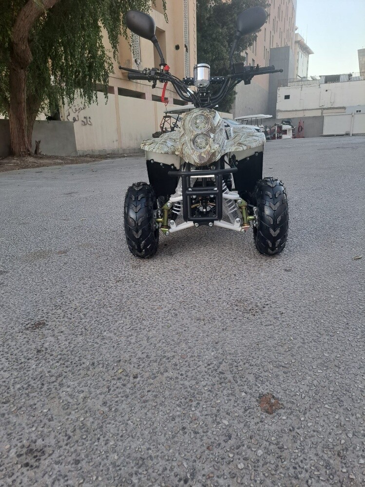 بطبطة - 5