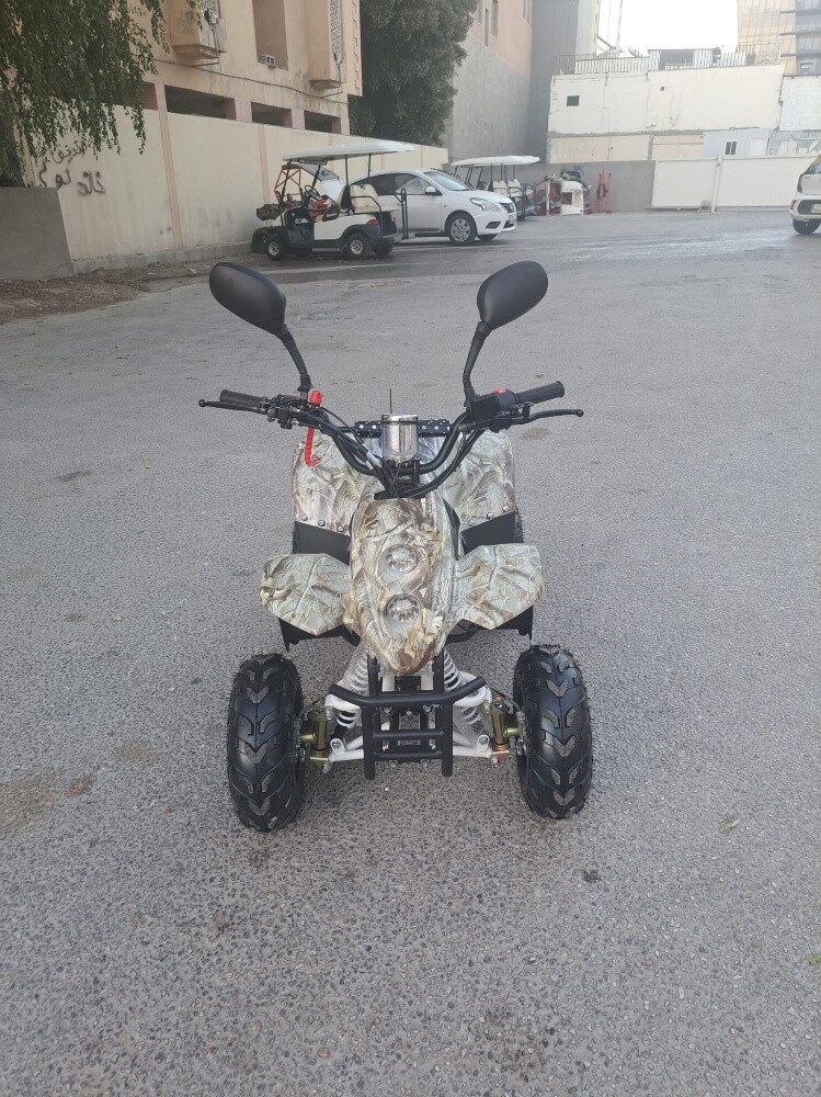 بطبطة - 2
