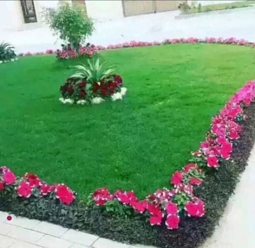 زراعه وديكورات - 1