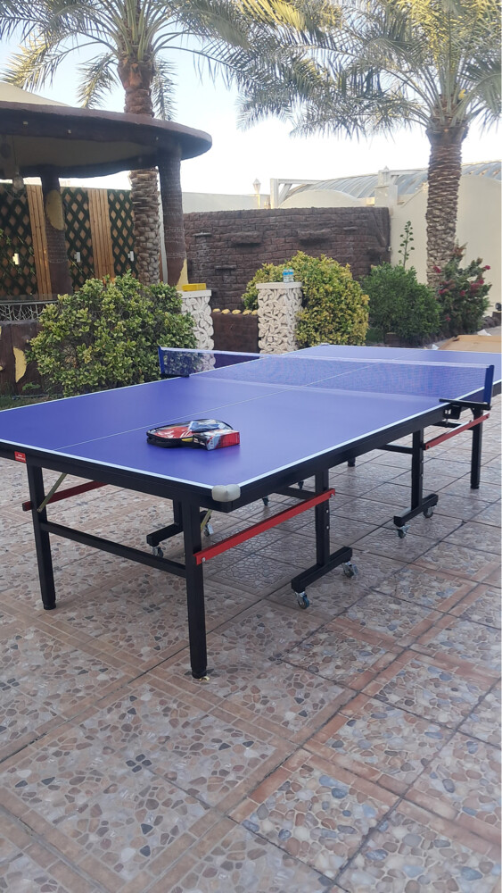 Tennis Table ping pong - 3