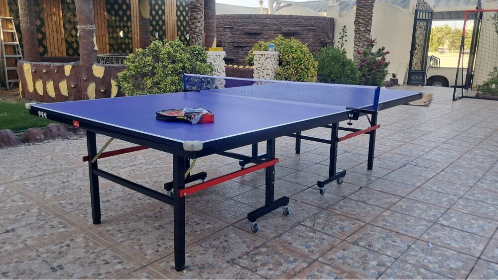 Tennis Table ping pong - 2