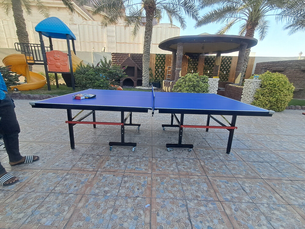 Tennis Table ping pong - 5