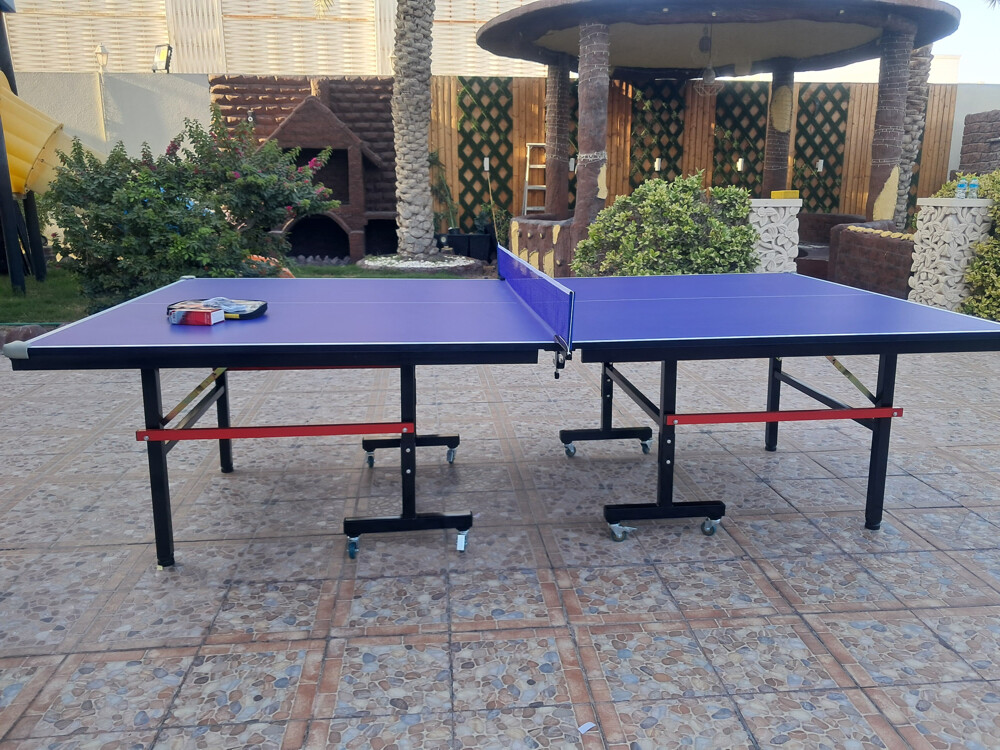 Tennis Table ping pong - 4