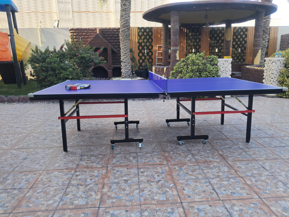 Tennis Table ping pong - 1