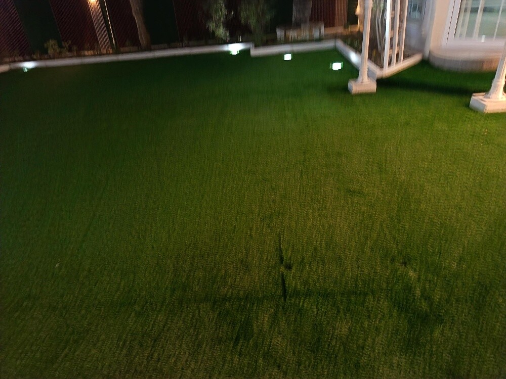carpet - 11