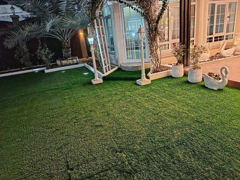 carpet - 12