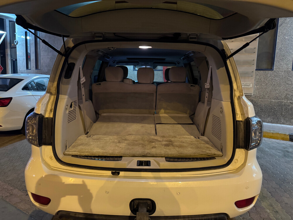 Nissan Petrol 2010 LE - 17