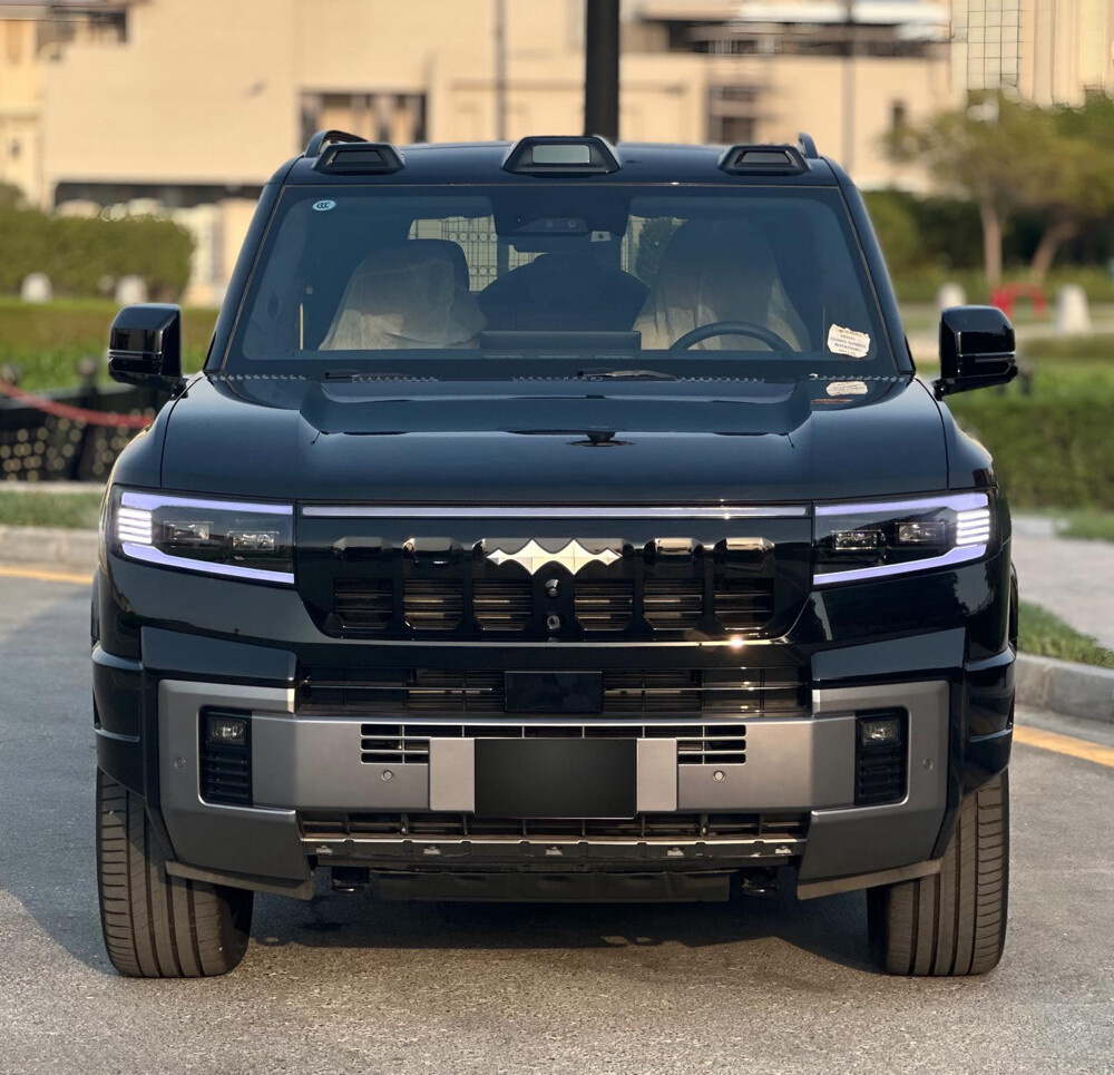 ليوبارد - 4