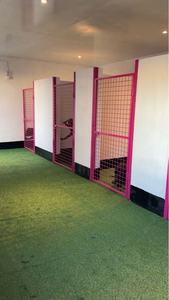 Dog boarding services - 1