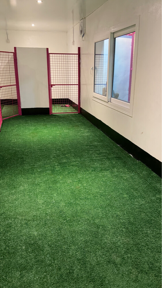 Dog boarding services - 9