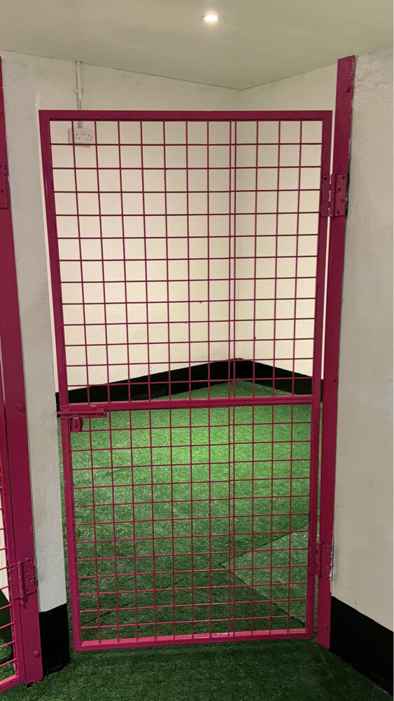 Dog boarding services - 4