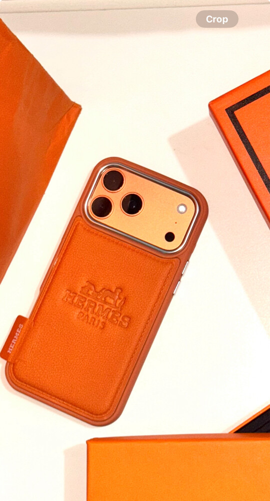 iPhone 17 pro max case - 4