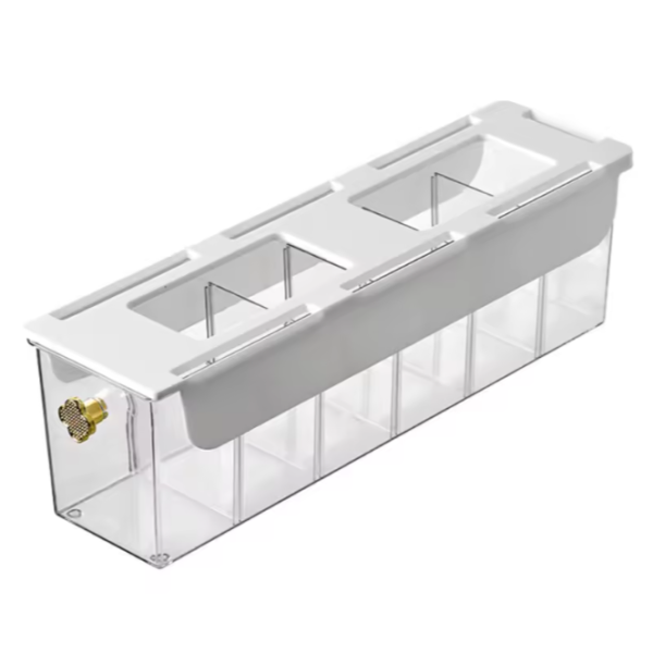 Transparent Multi-Compartment BOX - 1