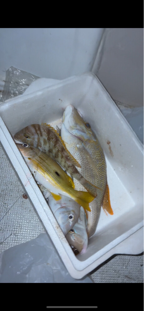 Fishing trip - 3