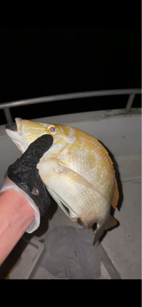 Fishing trip - 4