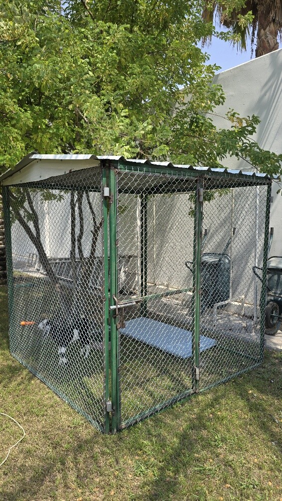 Pigeon house for sale - 1