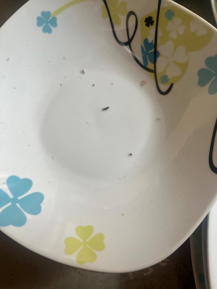 Dishes - 8