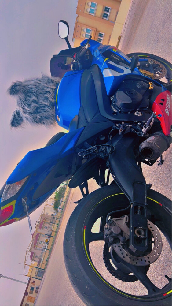 Suzuki gsxr 1000 - 2