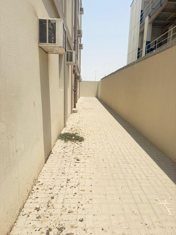 للايجارسكن عما ل بمزروعة جديد - 4