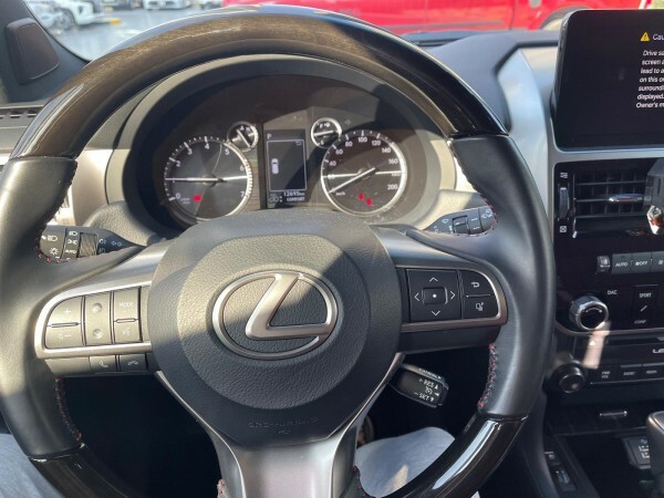 GX 460 - 11