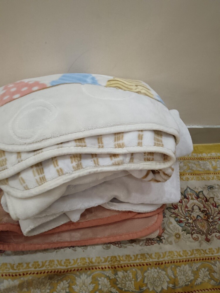 Quilt for sale 3 pice - 2