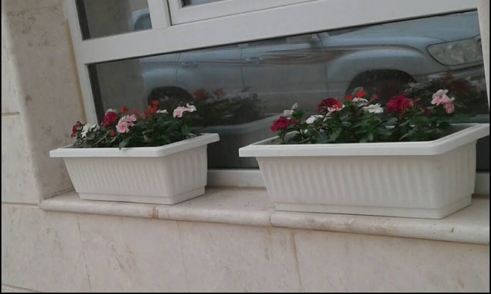 مهندس زراعي - 7
