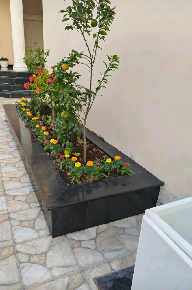 مهندس زراعي - 5