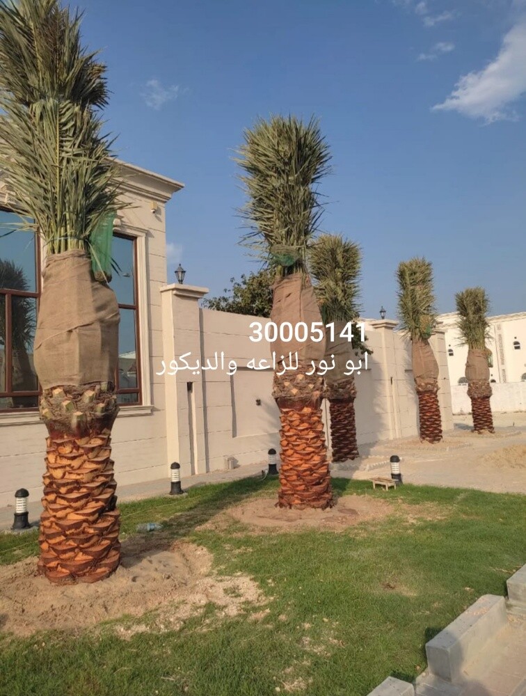 مهندس زراعي - 6