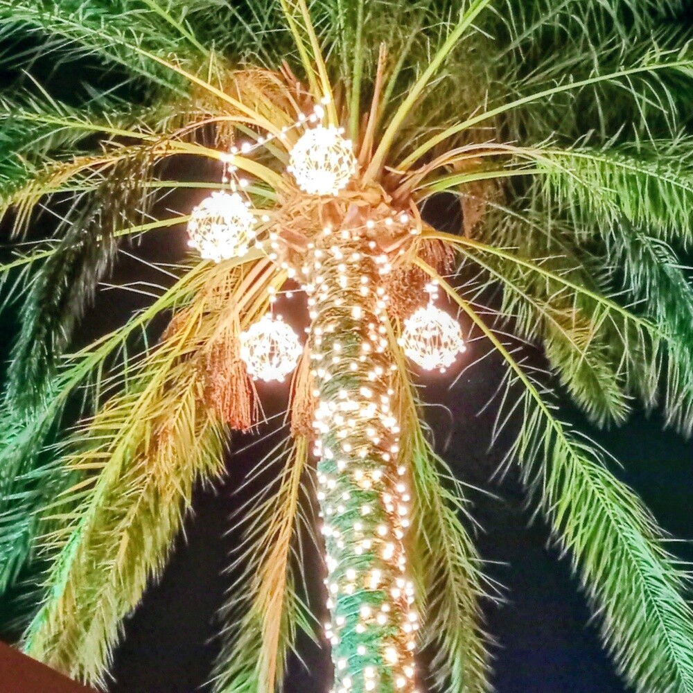 Lighting for weddings and events - 13