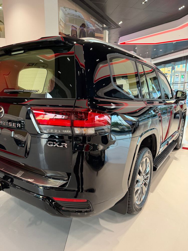 VVIP LIMOUSINE - 3