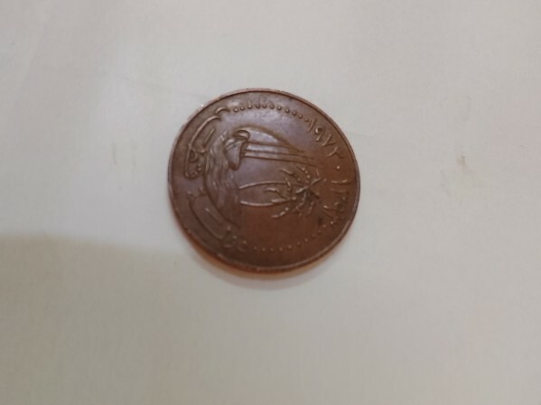 Qatari currency - 4