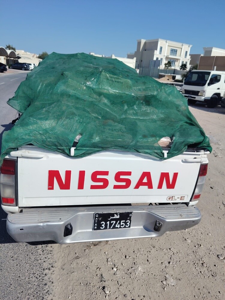 حطب مستورد - 2