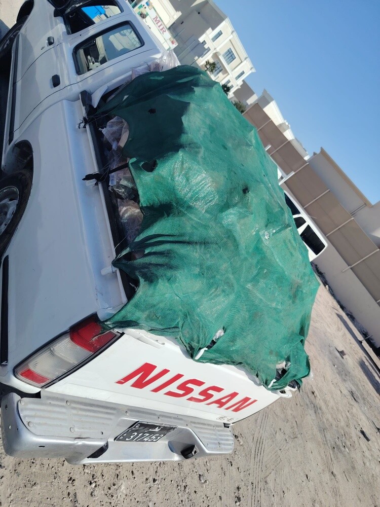 حطب مستورد - 3